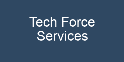 Tech Force Services