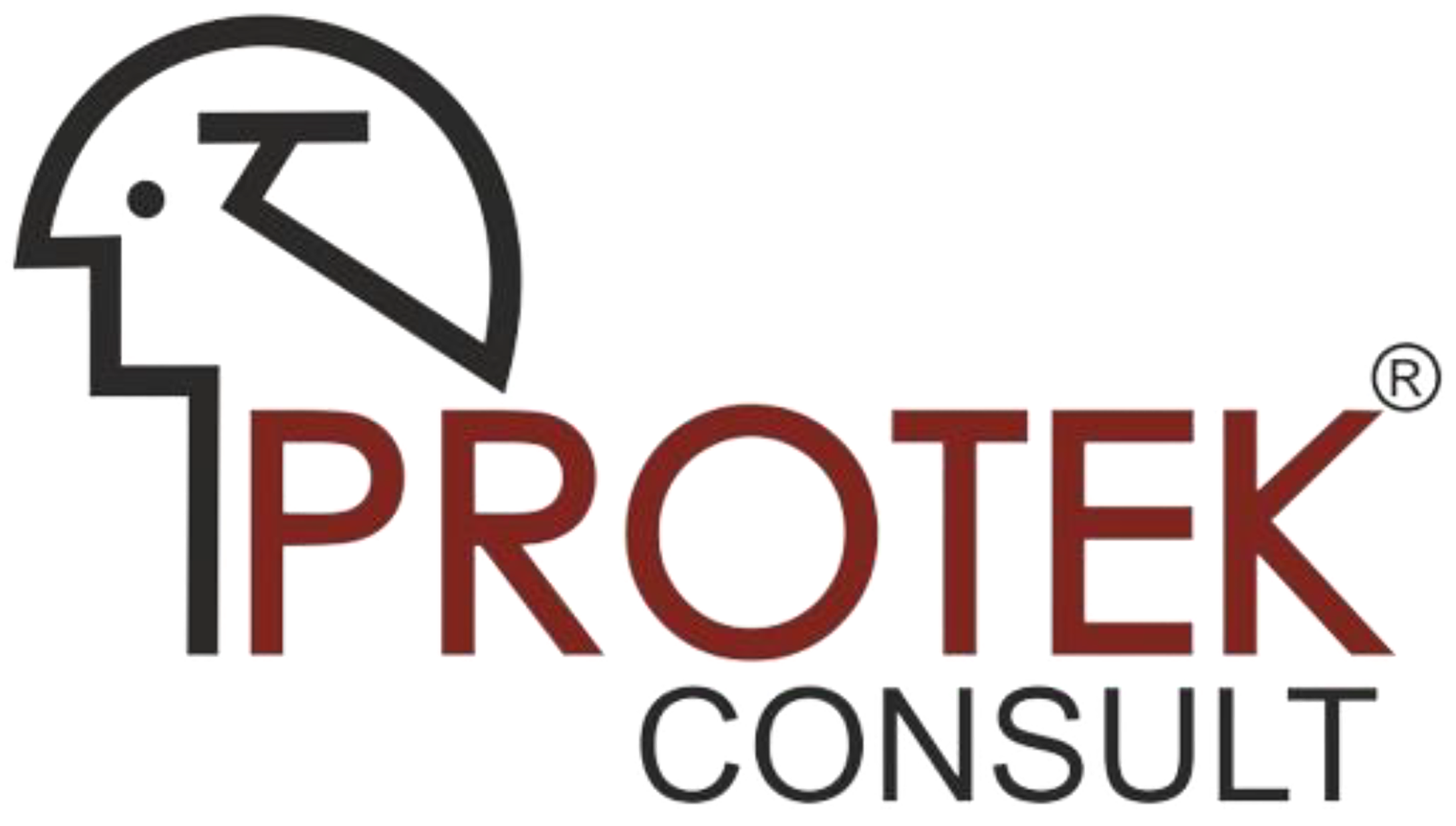 Protek Consult